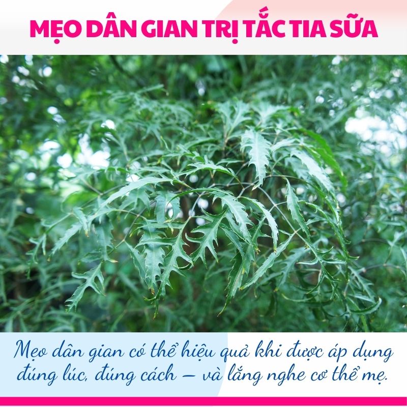 Mẹo dân gian có thể hiệu quả khi được áp dụng đúng lúc, đúng cách – và lắng nghe cơ thể mẹ.